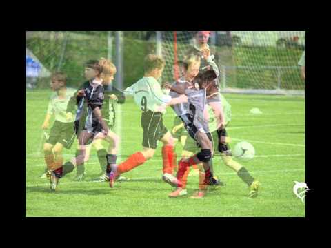 Budissa Bautzen E2 -SV Post Germania Bautzen