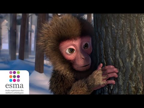 Onsen - ESMA 2019 (Teaser)