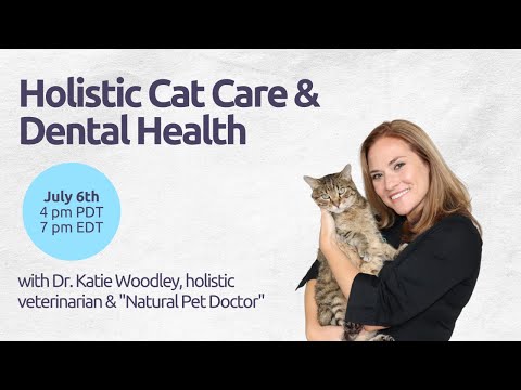 Basepaws Webinar: Holistic Cat Health & Dental Care