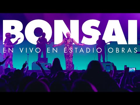 BONSAI (EN VIVO) en OBRAS - Alan Sutton y las criaturitas de la ansiedad