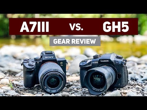 Sony A7iii vs Panasonic GH5 for Video