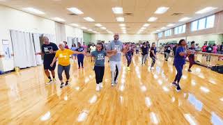 Vibe Line Dance (Beginner Line Dance)