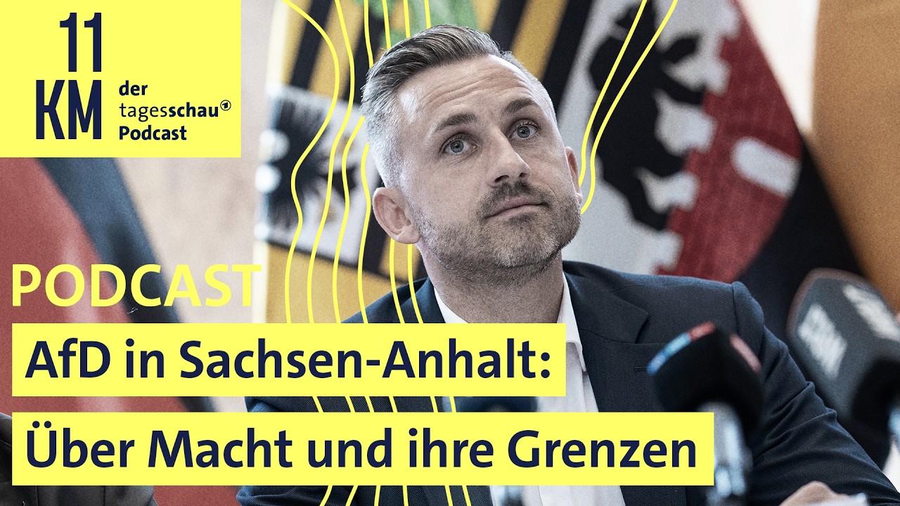 AfD in Sachsen-Anhalt: Über Macht und ihre Grenzen