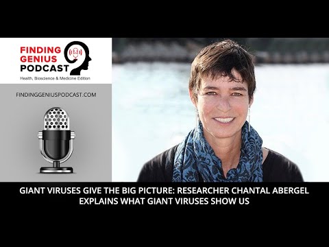 Giant Viruses Give the Big Picture Researcher Chantal Abergel Explains What Giant Viruses Show Us