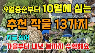 9월중순부터 10월에 심는 작물 13가지 이때 심으면 겨울부터 다음해 봄까지 수확해요 #9월에심는작물 #10…