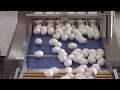 Оборудование для Упаковки Яиц - фото 1