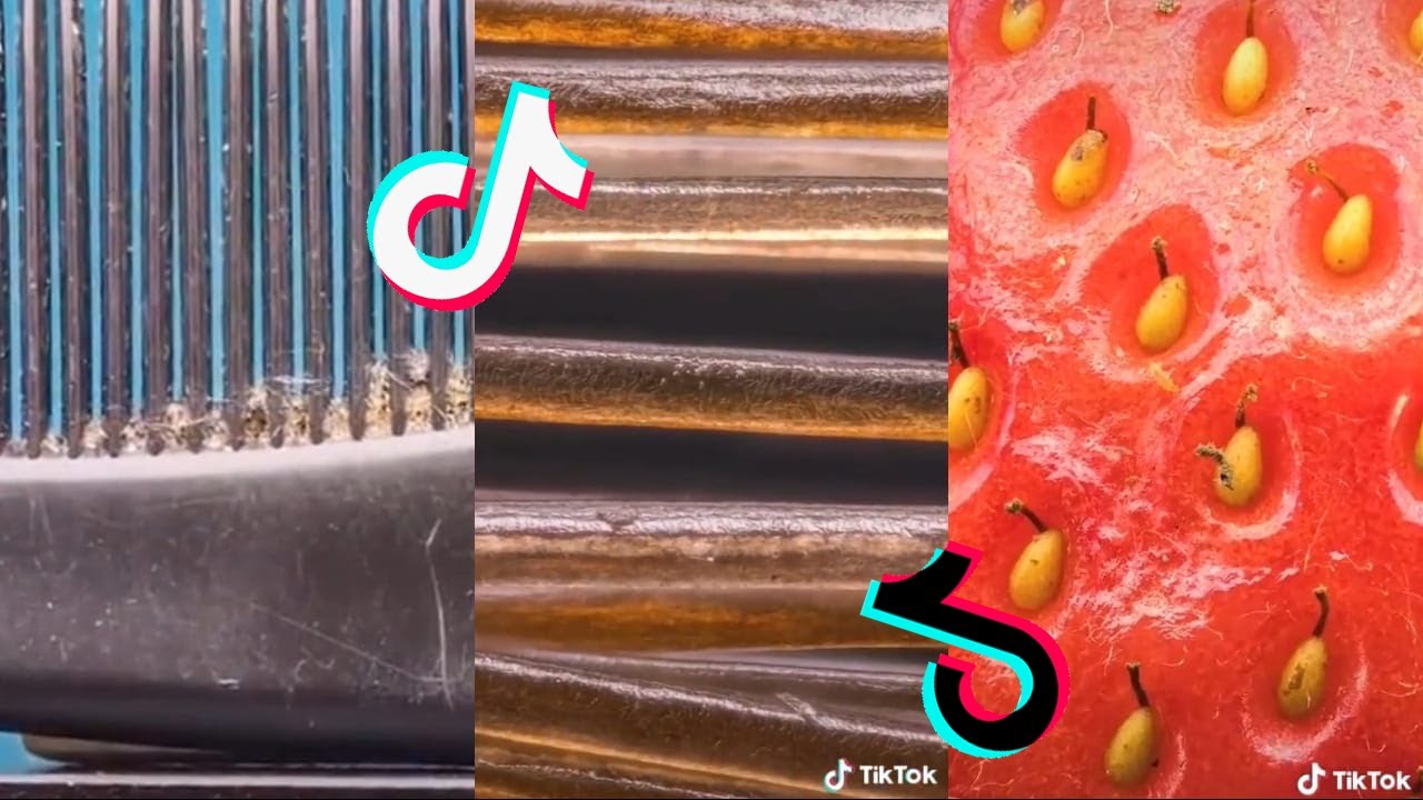 Common Objects Under The Microscope - @microworldexplorer | Tiktok Compilation .