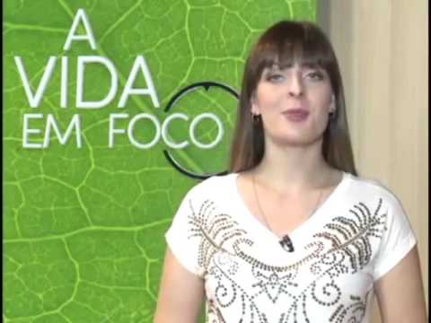 #161 - Morte e esquecimento do passado