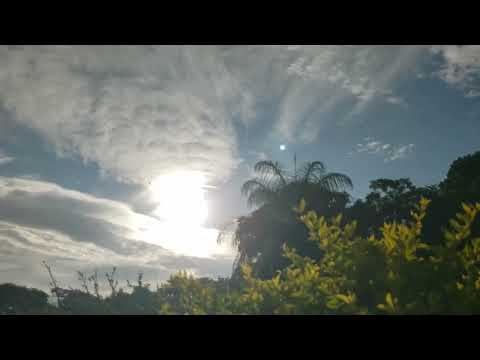 Didier Lockwood Trio (For Stéphane Grappelli), Strasboutg (2008)