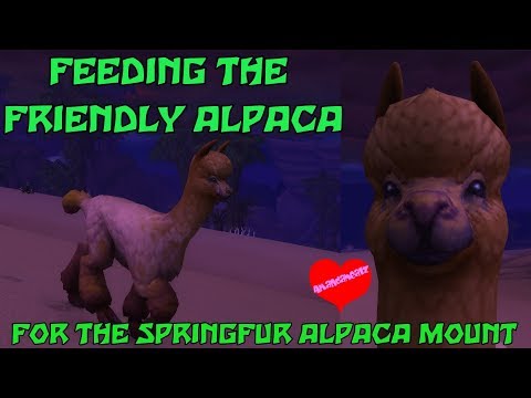 WoW BfA 8.3 - Feeding the Friendly Alpaca for the Springfur Alpaca mount