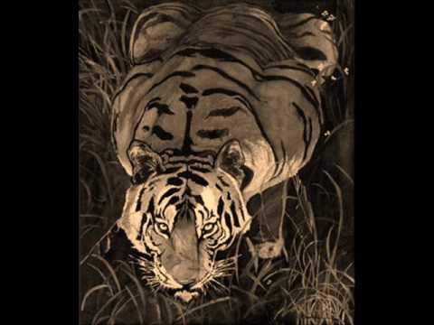 A Tiger Tribute - Hero