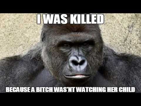 DIcKs OuT FOr HaRAmbe