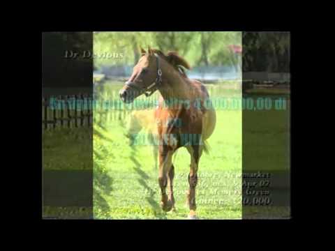 Stallone DR Devious - Arborea.MP4