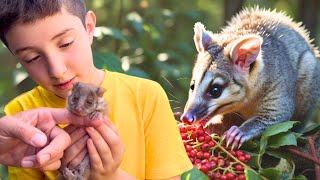 Wildlife Animal Adventure 🦜 Learn about Animals at the Zoo! Educational Animal Videos for Kids
