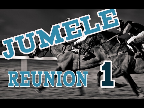 Pronostic du jumele (R1)(C8) 17/02/2017