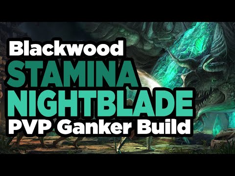 ESO - Blackwood Ganker Stamina Nightblade PVP Build No CP/CP