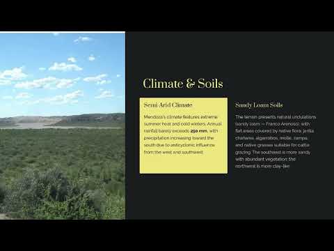 Estancia Las Aguadas del Sur – 94,149 Hectares Cattle Ranch for Sale in Mendoza, Argentina