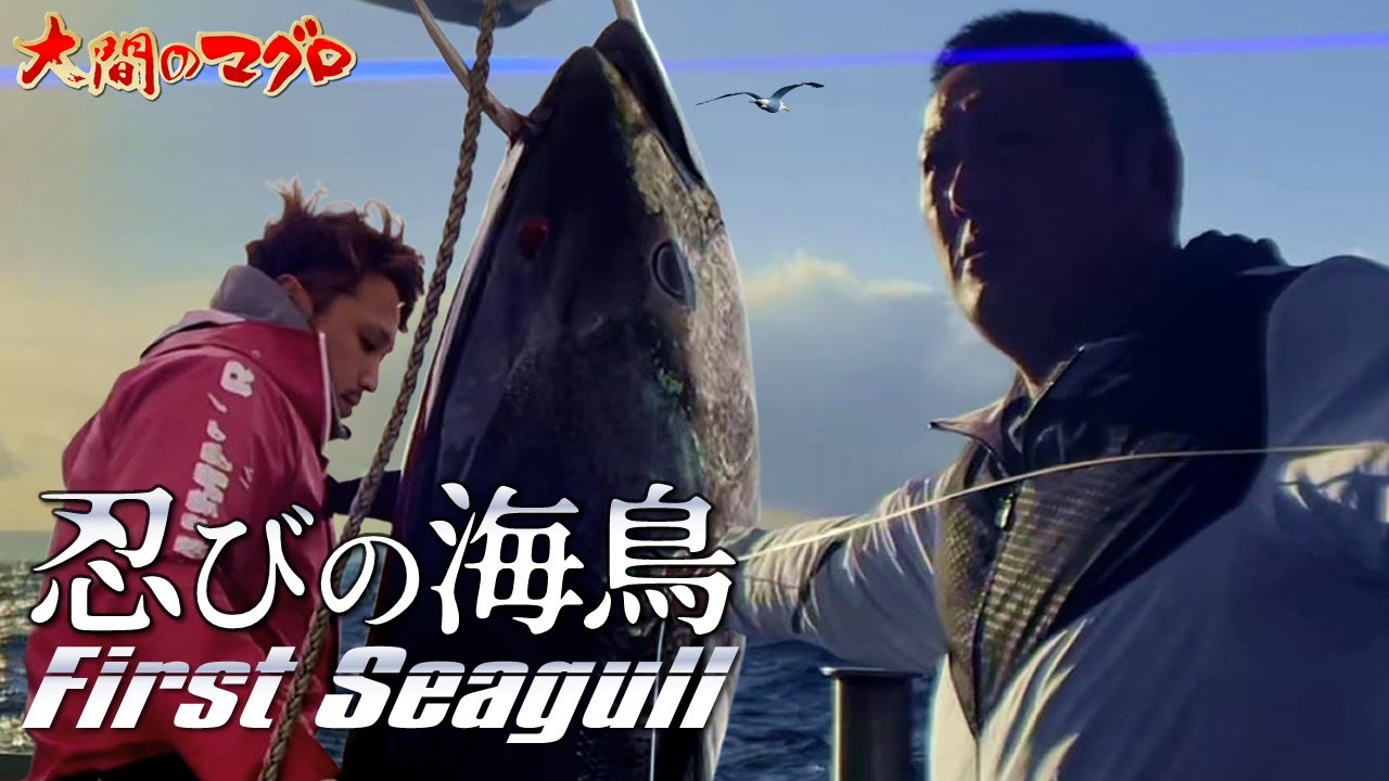 大間のマグロ 忍びの海鳥 FirstSeagull～弥七の伝達～一本釣りぶっつけ漁 まぐろ漁師 南兄弟 龍神RYUJIN