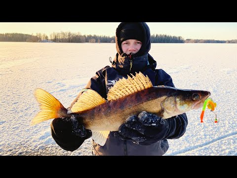 Valmistautuminen pilkkikauteen - Kuhan pilkintä Jasu jigillä ja pystypilkillä - Kauden avaus