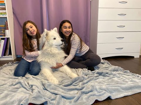 Our Big Adventure Begins! Meet The Sisters And Blue The Dog. 
