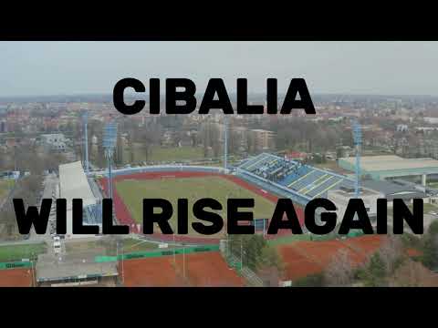 CIBALIA WILL RISE AGAIN