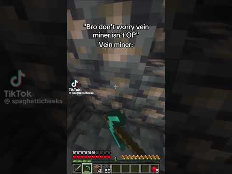"Don't worry vein miner isn't OP" Vein miner: #memes #minecraft