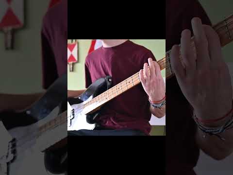 Ty slzy dávno vpila tráva / ????BASS COVER