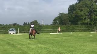 Ardeo Rocketman 148cm Event Pony 