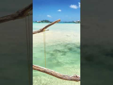 Drop of the Ocean Apatite Necklace | Handmade in Bermuda 💧Shop RawIslandJewels.com #GemstoneJewelry