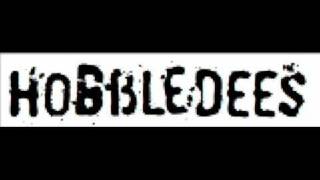 HOBBLEDEES - 月夜の星空