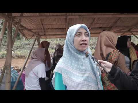 GENDARAN PRING FEST IV Tahun 2023