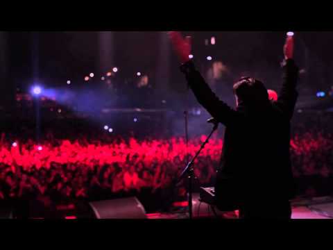 Panzer Flower in Live