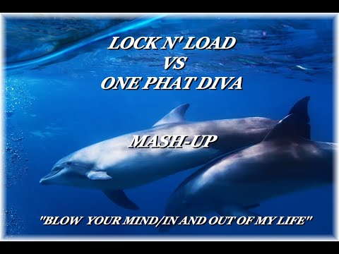 LOCK N'LOAD VS ONE PHAT DIVA