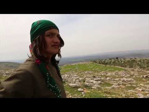 Sîka Çiyayê Kurmênc