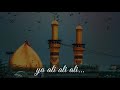 Janam Fida E Haidari Status Whatsapp 21 Ramadan