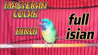 Download lagu KINOI GACOR FULL ISIAN❗Masteran Dan Pancingan Cucak Kinoi full Tembakan mp3