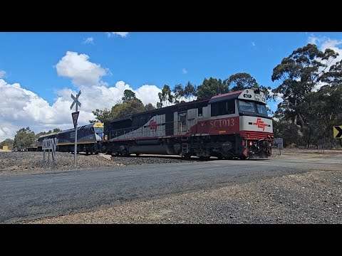 9721V SCT down "Dooen Express" (3 locos), Melbourne to Dooen, 1400, 3/12/24, Armstrong VIC