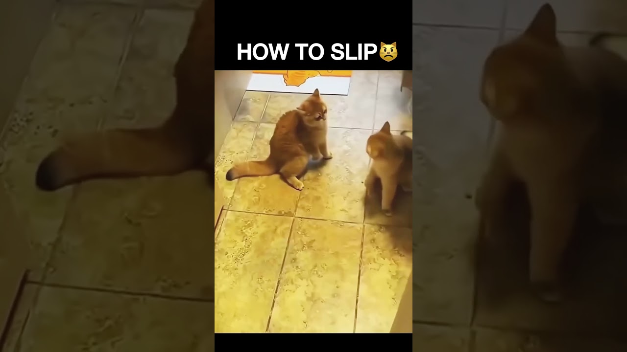 Boxing motivation🥊 #miketyson #boxing