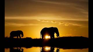 Download lagu Stones & Bones feat Mpumi - Masambe (Original Mix) mp3