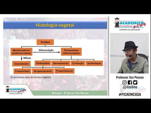HISTOLOGIA VEGETAL   PARTE 1