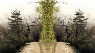 Gold Panda - India Lately