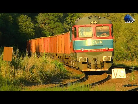 Tractor FIAT Someca SOM 20D & ND2 60-1513-0 & Marfar GFR Freight Train in Bologa - 06 July 2021