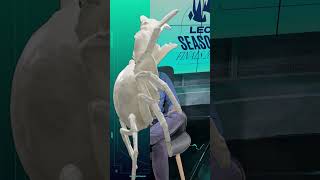 La Minute de spéciale LEC - Noi -