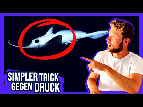 So hältst du jedem Druck stand | 1. Johannes 4,4