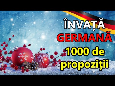 🇷🇴 🇩🇪 1000 German Sentences in 20 Days - Day 13
