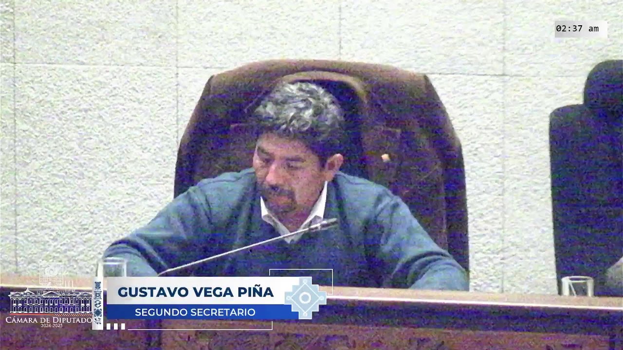 195a Sesión Ordinaria - 29/10/25