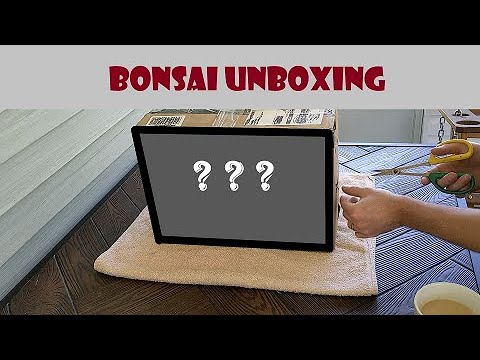 Unboxing and Planting a New Bonsai