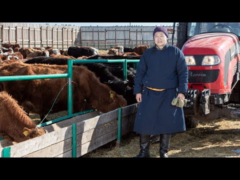 Танайд хоноё - Инженер Б.Мөнхбаатар