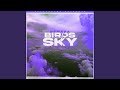 Birds In The Sky (Tays & Charva Boys Remix)