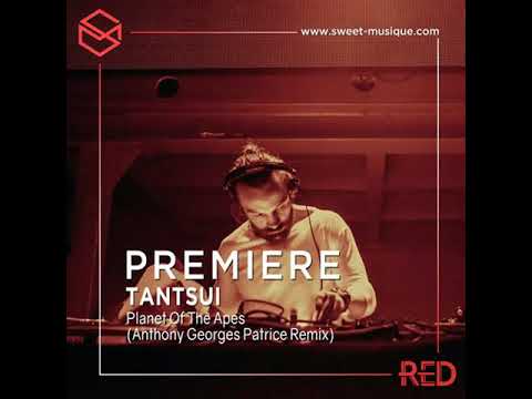 PREMIERE:  Tantsui - Planet Of The Apes (Anthony Georges Patrice Remix) [Kindisch Music]